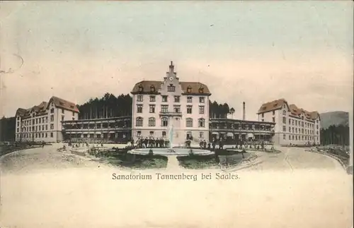 Saales Sanatorium Tannenberg x