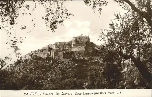 Eze Alpes-Maritimes Eze Travers Oliviers  * / Eze /Arrond. de Nice