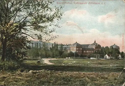 Zillisheim Elsass Gymnasium x