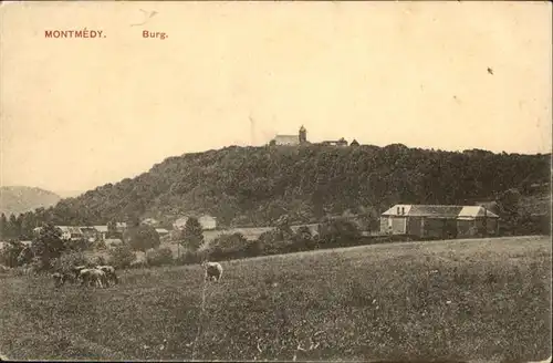 Montmedy Burg / Montmedy /Arrond. de Verdun