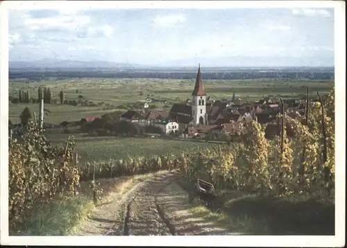 Ammerschweier Rheinebene / Ammerschwihr /Arrond. de Ribeauville