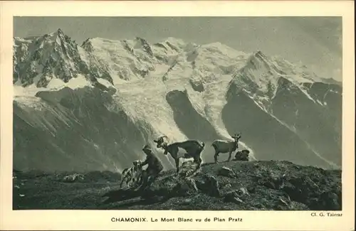 Chamonix Mont Blanc Ziegen Plan Pratz / Chamonix-Mont-Blanc /Arrond. de Bonneville