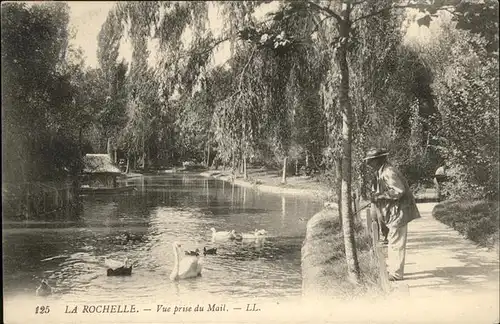 La Rochelle Charente-Maritime Schwan Enten / La Rochelle /Arrond. de La Rochelle