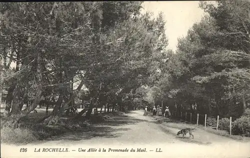 La Rochelle Charente-Maritime Allee Promenade du Mail Hund / La Rochelle /Arrond. de La Rochelle