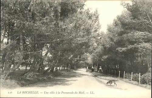 La Rochelle Charente-Maritime Promenade Mail Hund / La Rochelle /Arrond. de La Rochelle