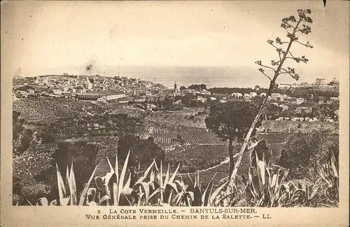 Banyuls-sur-Mer  / Banyuls-sur-Mer /Arrond. de Ceret