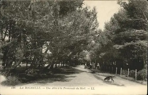 La Rochelle Charente-Maritime Allee a la Promenade du mail / La Rochelle /Arrond. de La Rochelle