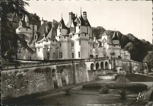 Rigny-Usse Chateau *