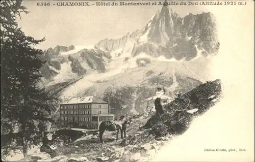Chamonix-Mont-Blanc Hotel du Montanvert Aiguille du Dru *