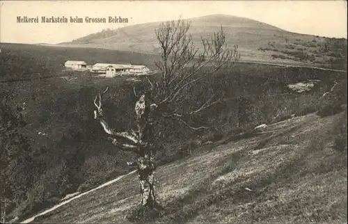 Grand Ballon Melkerei Markstein *