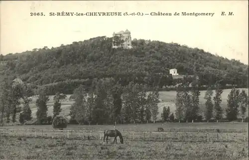 Saint-Remy-les-Chevreuse Chateau Montgomery *