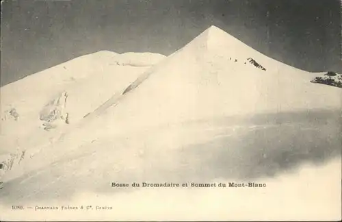 Chamonix-Mont-Blanc Mont Blanc Bosse Dromadaire Sommet *