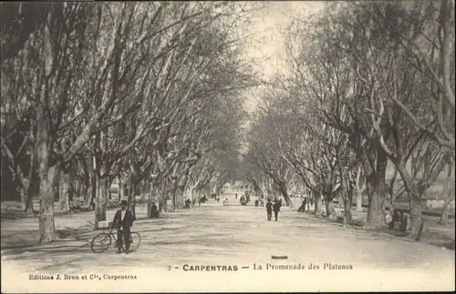 Carpentras Promenade Platanes Fahrrad *