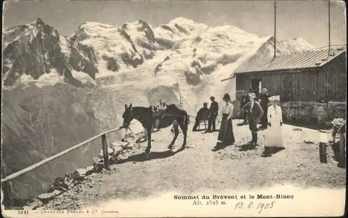 Le Brevent le Mont Blanc *