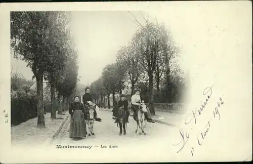 Montmorency Les Anes Esel x