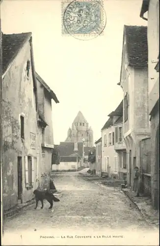 Provins Rue Couverte Hund x