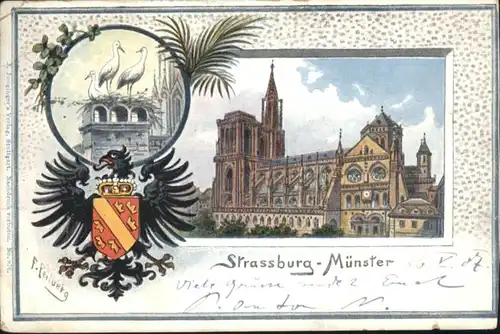 Strasbourg Alsace Strassburg Elsass Muenster Strorch x