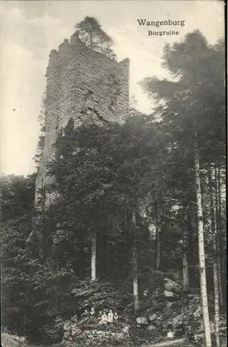 Wangenburg Burgruine x