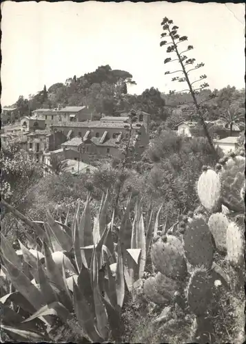 Bormes-les-Mimosas Cote d'Azur Varoise *