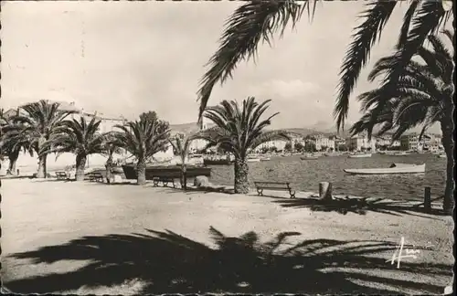 Sanary-sur-Mer Quai Palmiers x