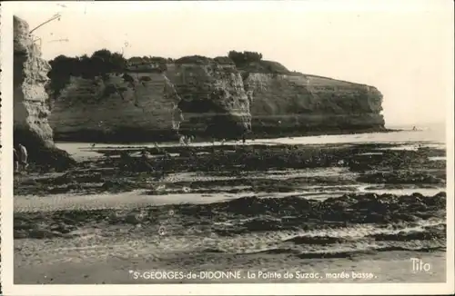 Saint-Georges-de-Didonne la Pointe de Suzac x