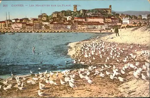 Cannes les Mouettes sur la plage *