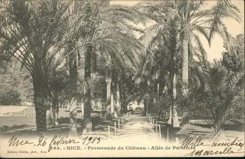 ws82068 Nice Alpes Maritimes Nice Promenade du Chateau Allee de Palmiers x Kategorie. Nice Alte Ansichtskarten