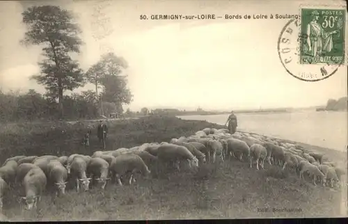 Germigny-sur-Loire Schafe x