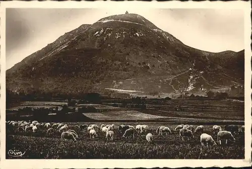 Puy-de-Dome Paturage *