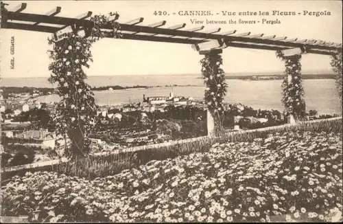 Cannes Fleurs Pergola *