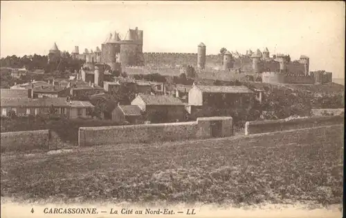 Carcassonne Cite *