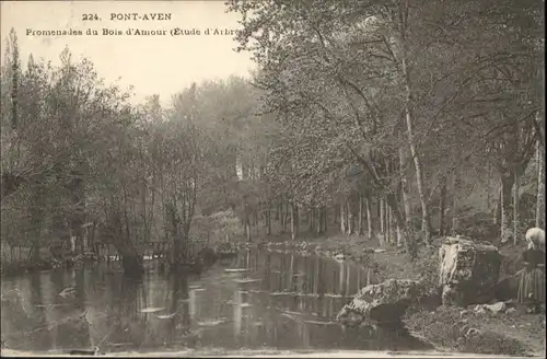 Pont-Aven Bois d'Amour *