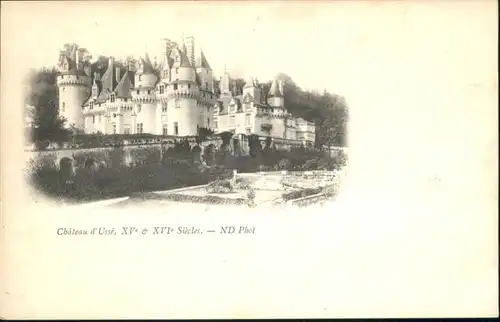 Rigny-Usse Chateau *