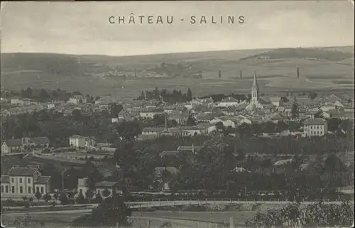 Chateau-Salins  *
