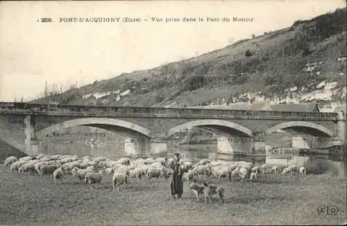 Acquigny Pont Parc Manoir Schafe Schaefer Hund *
