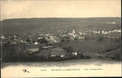 Brinon-sur-Beuvron  *