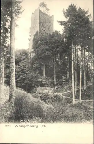 Wangenburg Ruine *