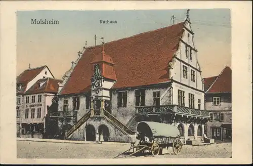 Molsheim Rathaus x