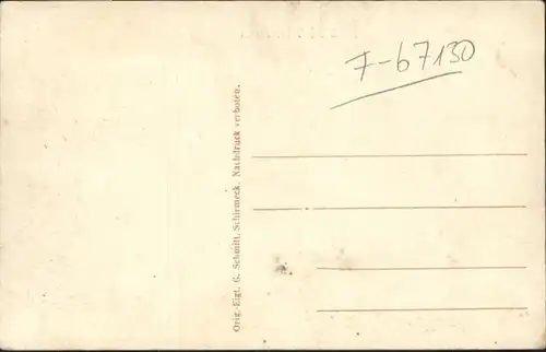 Donon Winterzeit Hund *