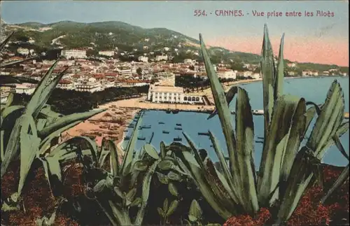 Cannes Vue prise Aloes *