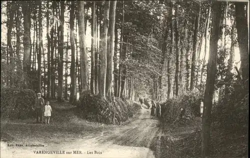 Varengeville-sur-Mer Bois *