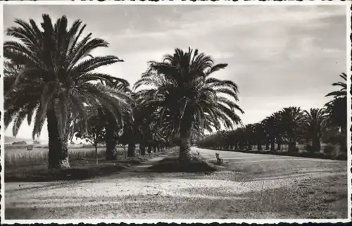 Cavalaire-sur-Mer Allees de Pardigon *