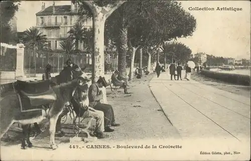 Cannes Boulevard Croisette Esel x