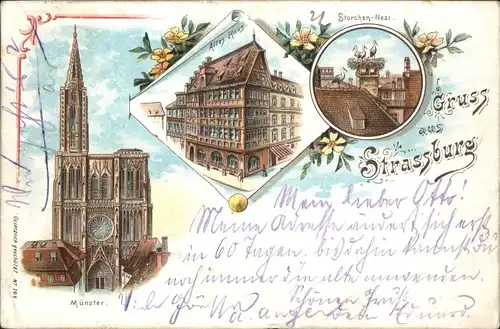 Strasbourg Alsace Strassburg Elsass Muenster Altes Haus Storch Litho x