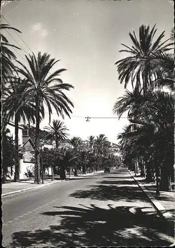 Hyeres Avenue Gambetta Kat. Hyeres