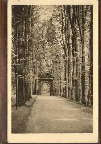 Waldenburg Sachsen Park Stille Naturfreunde Kat. Waldenburg Sachsen