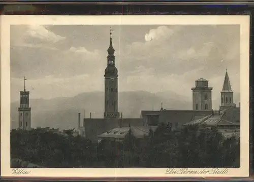 Zittau Tuerme der Stadt Kat. Zittau