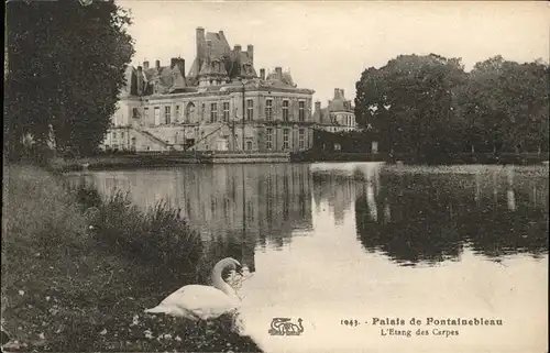 Fontainebleau Seine et Marne Palais Etang des Carpes Schwan Kat. Fontainebleau