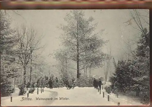 Zittau Weinaupark Winter Kat. Zittau