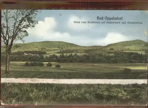 Bad Oppelsdorf Schafteich Hohenwald Gickelsberg Kat. Opolno Zdroj